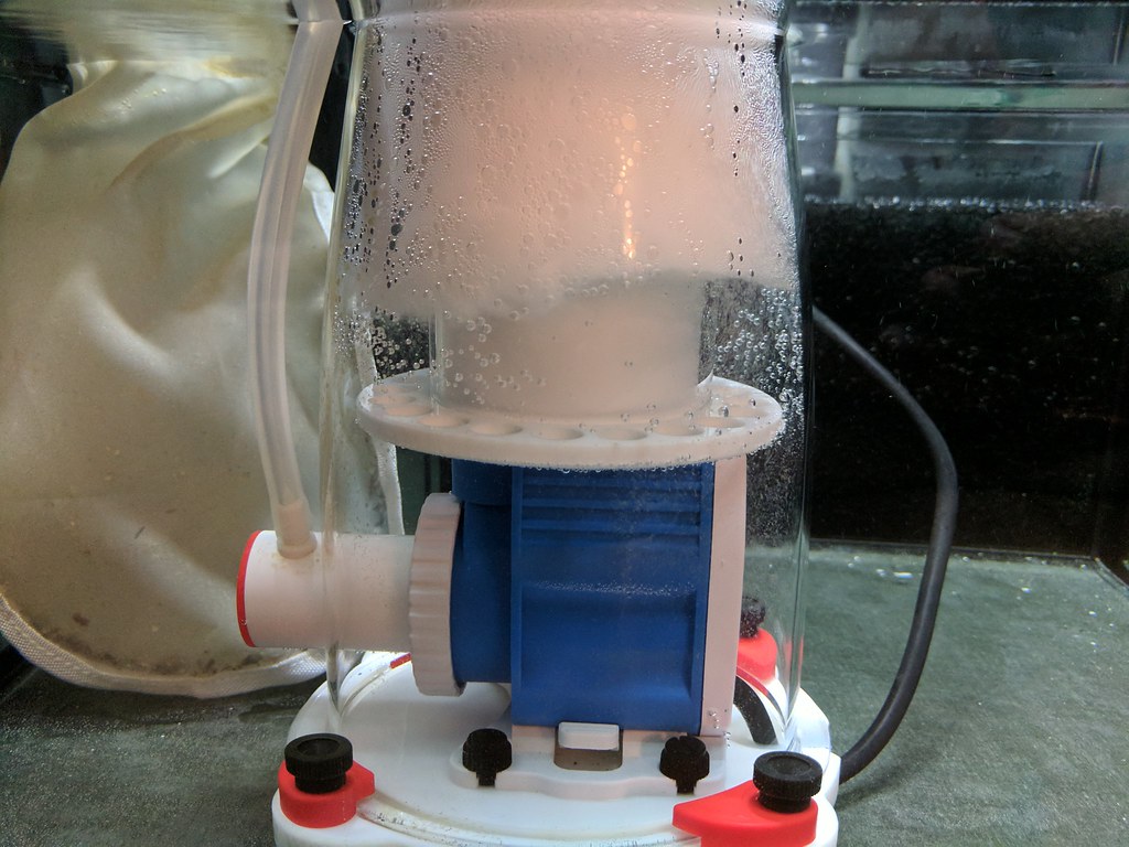 23689374788_af071cf9fe_b.jpg