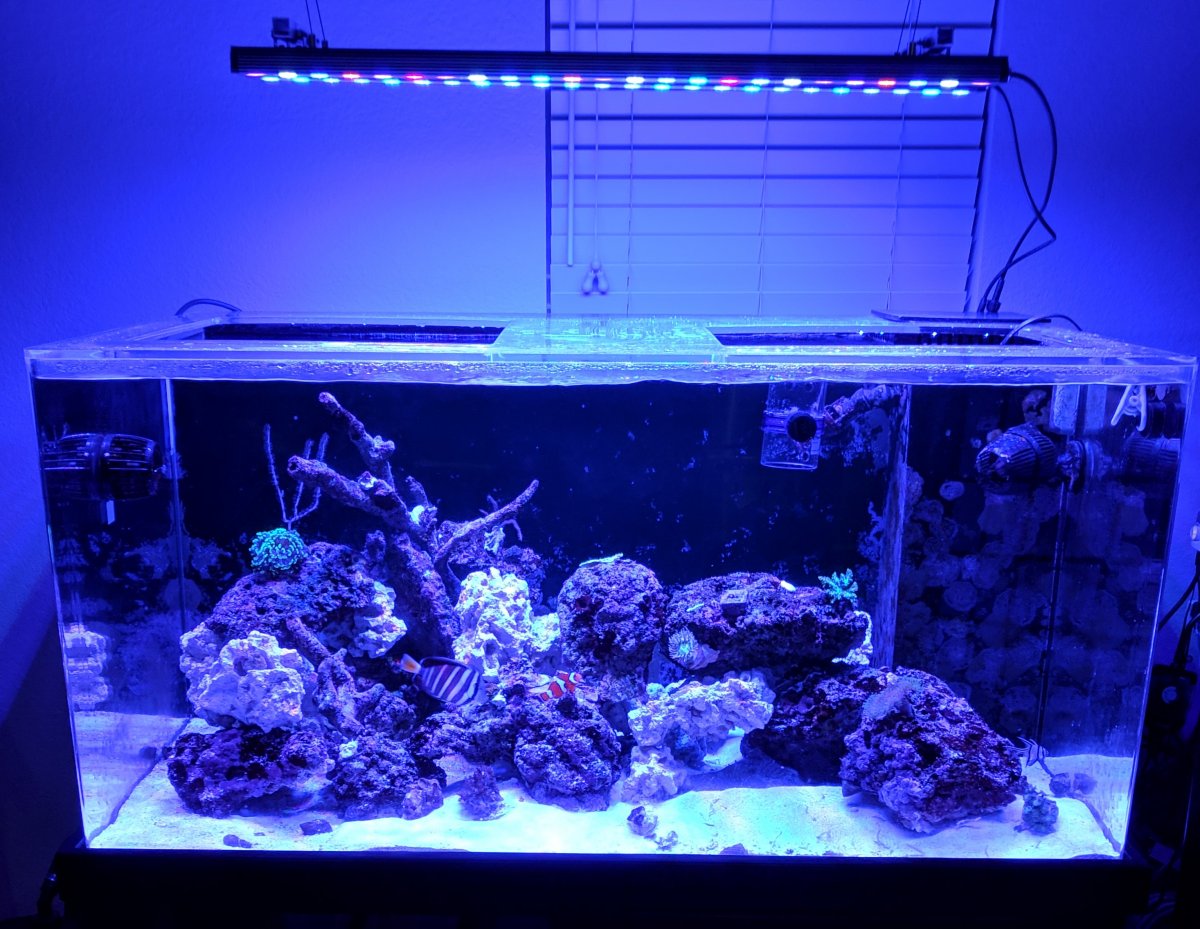 ftswithlights-jpg.1007309