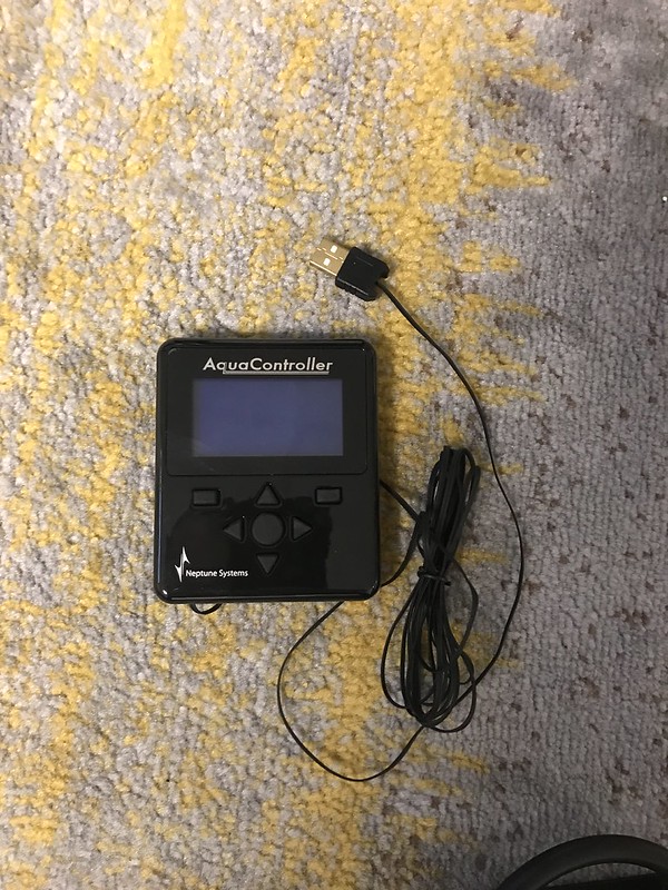 33048480754_b5570457b2_c.jpg