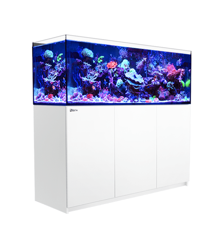 g1.redseafish.com