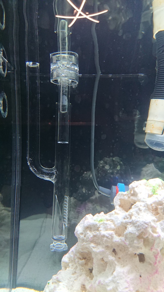 tank11.JPG