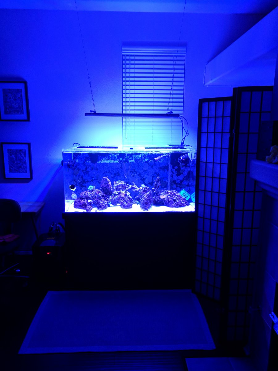 fts-jpg.991870