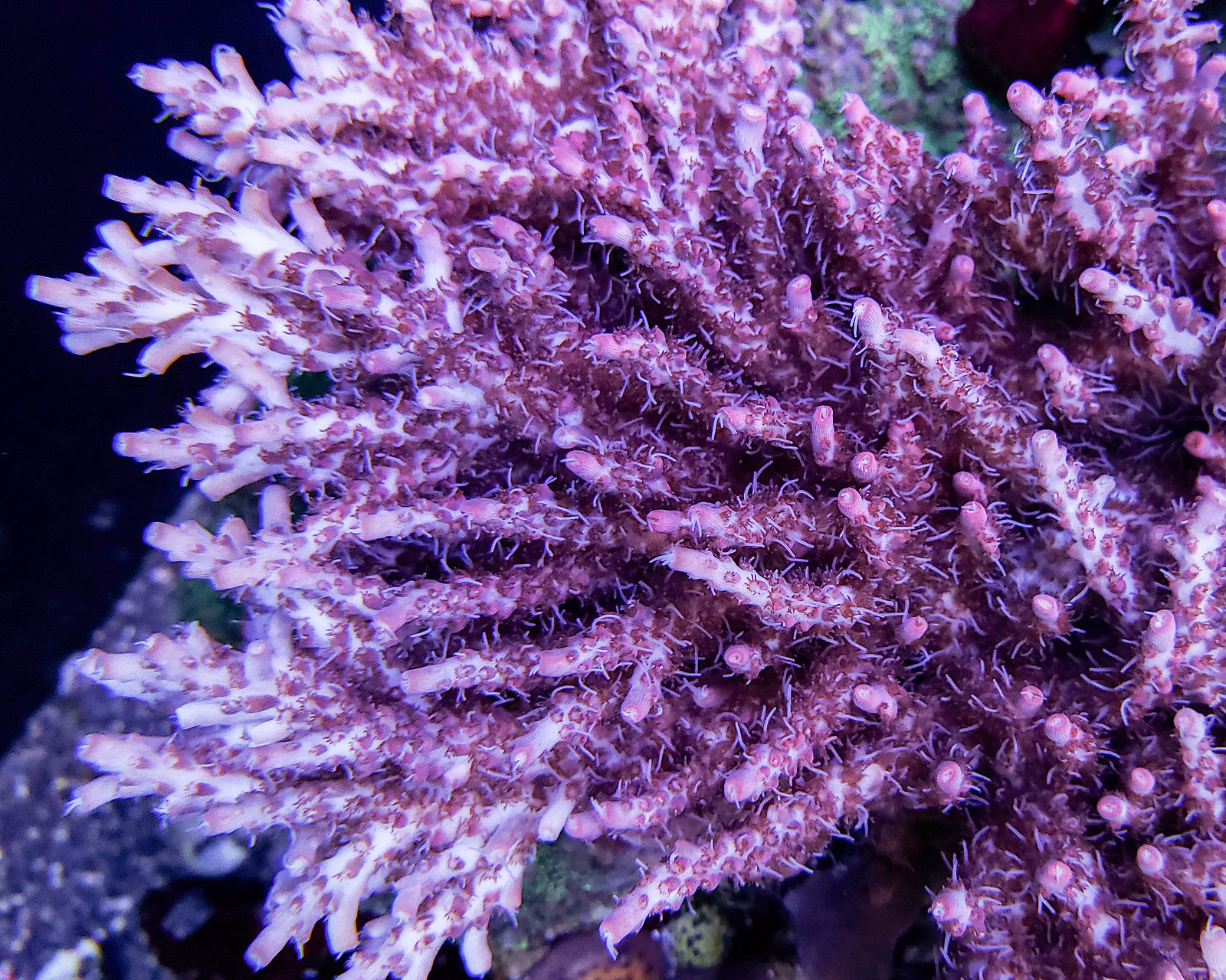 48716176788_a03cae8550_h.jpg