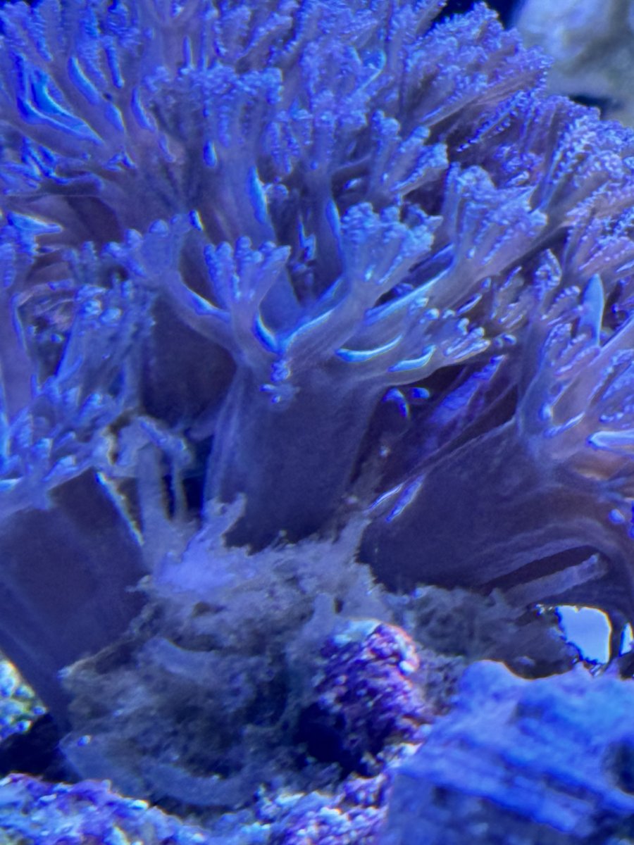 IMG_7827.jpeg