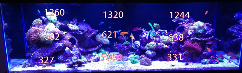 100ho_small.jpg