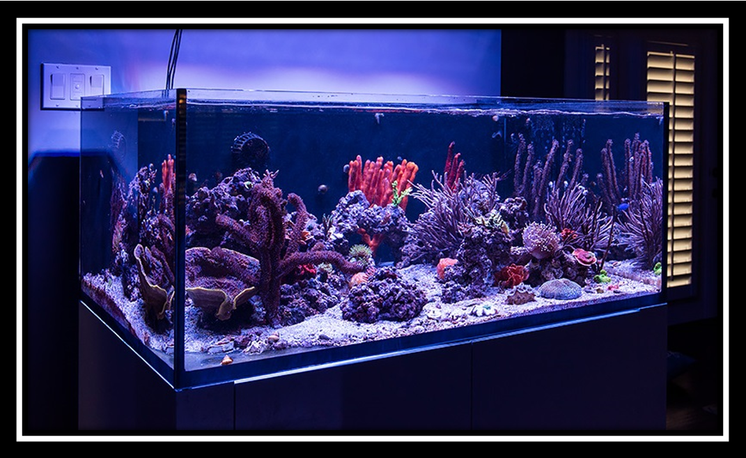 tankmove-png.411093