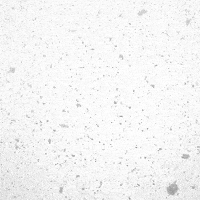 White Christmas GIF
