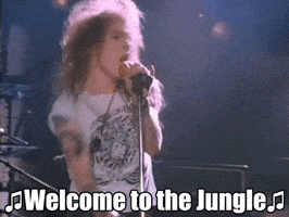 guns n roses GIF
