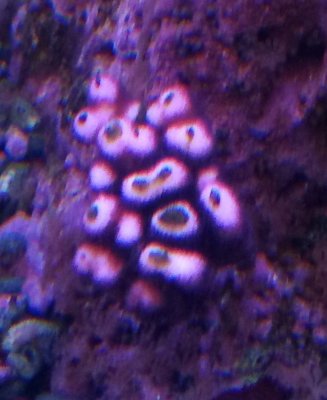 P_20190310_205734_p_1.jpg P_20190310_205734_p_1.jpg
